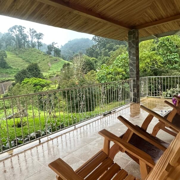 C95D47AA-B8EB-4E37-B343-417A1A4E0BEB